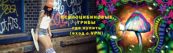 марки nbome Гусь-Хрустальный