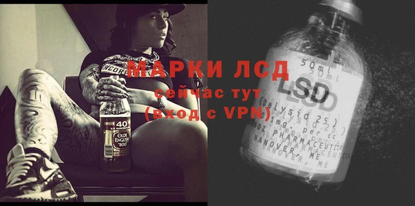 jwh Гусев