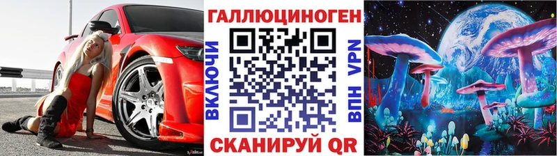 Купить закладки  Новоалтайск  Псилоцибиновые грибы мухоморы 